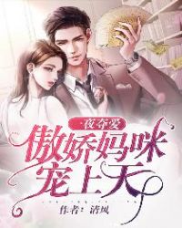 小说一夜惊婚