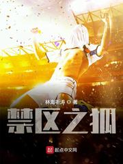 禁区之狐 txt全文免费阅读