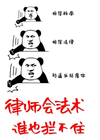 律师会武术谁也挡不住