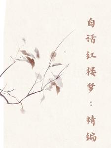 白话红楼03